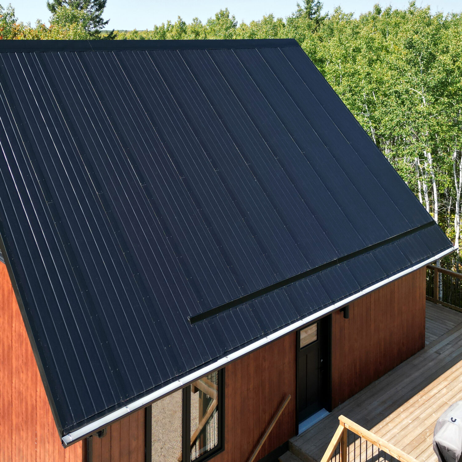 Cabin amongst trees with black steel roof